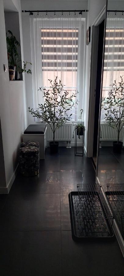Apartamenty Magvel シュチェチン エクステリア 写真